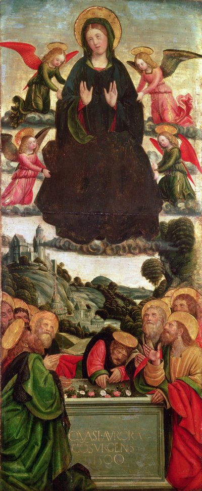 The Assumption of the Virgin by Defendente Ferrari